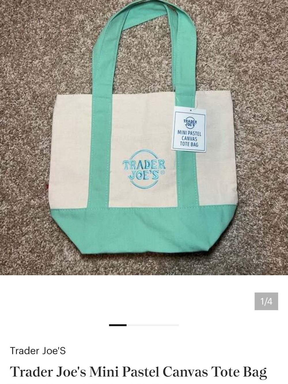 Mini Pastel Canvas Tote Bag - Mint/Beige